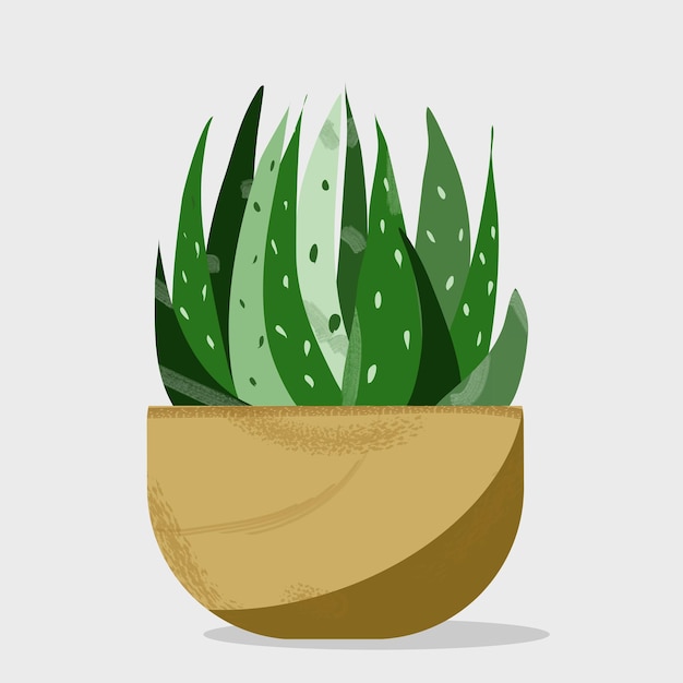 Ceramic containers and vase with cactus aloe interior decoration isolated vector illustration