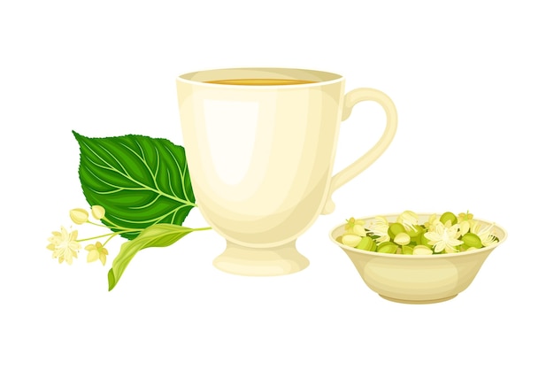 Ceramic Cup with Hot Lime Tea and Smallleaved Linden or Tilia Cordata Blossom Rested Nearby Vector Illustration