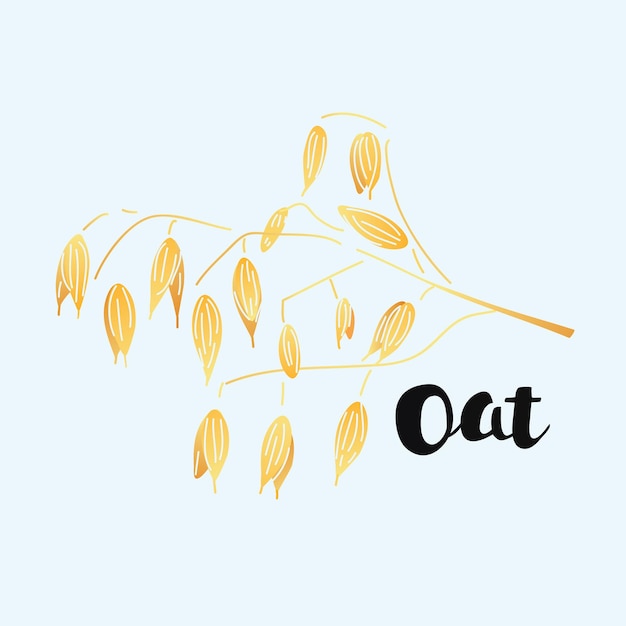 Cereals handdrawn illustration oat