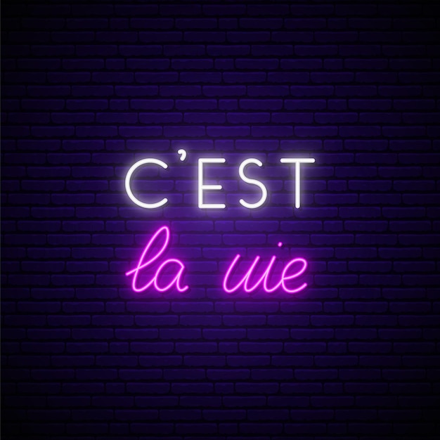 Cest la vie neon signboard Its a life on french