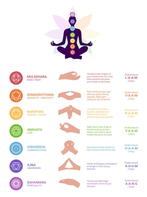 Vector chakras mudras and mantras poster hands with mantras instructions and exercises of mantra and mudra