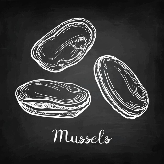 Chalk sketch of mussels