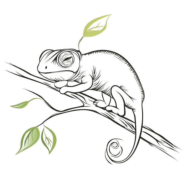 Vector chameleon vector cute