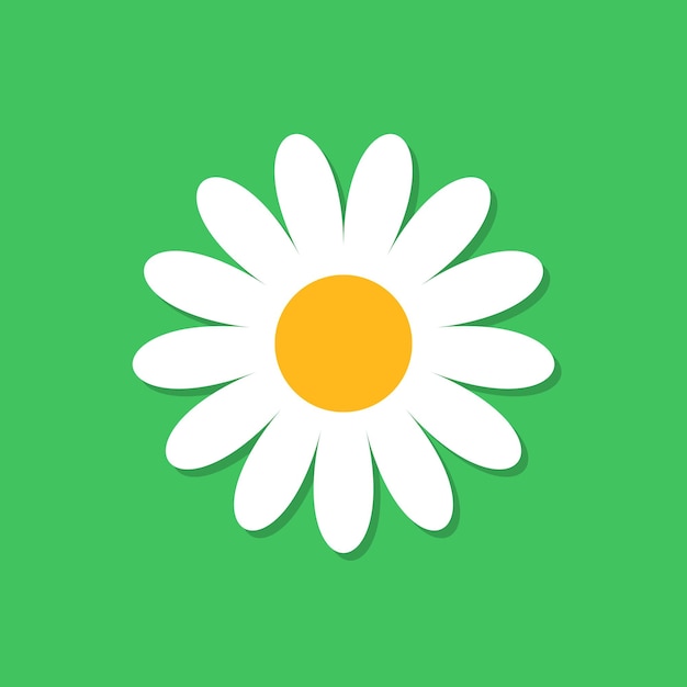 Chamomile flower vector icon in flat style Daisy illustration on green isolated background Camomile sign concept