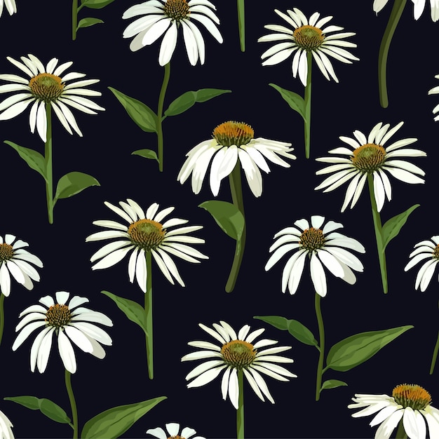 Chamomile flowers and leaves Seamless vector patern with isolat