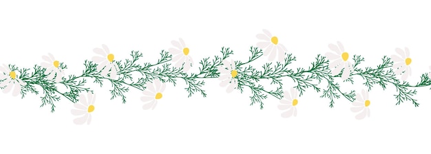 Chamomile horizontal border seamless pattern