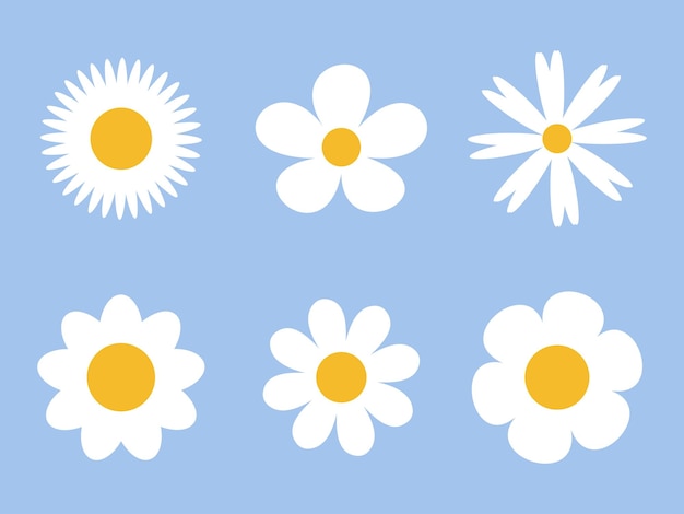 Vector chamomile icons set daisy vector design