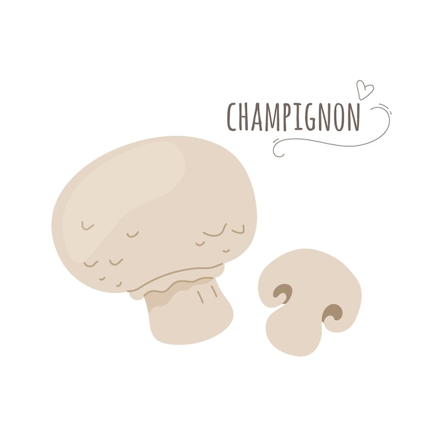 Champignon,agaricus mushrooms isolated on white background.Simplified flat vector illustration.