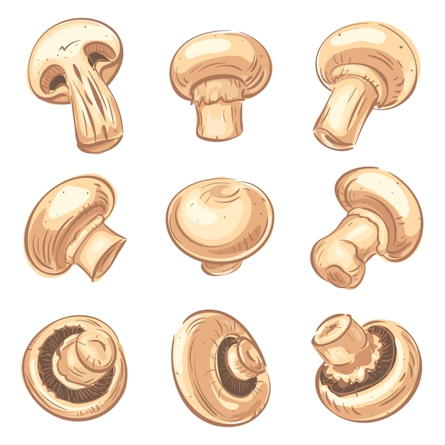 Champignon icons set, cartoon style