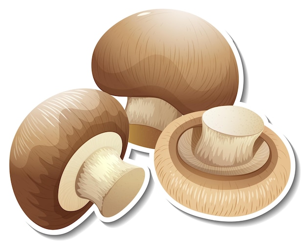 Champignon mushroom sticker on white background