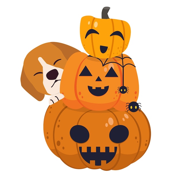 The character of beagle dog with pumpkin of jack o lantern and spider for Halloween theme set