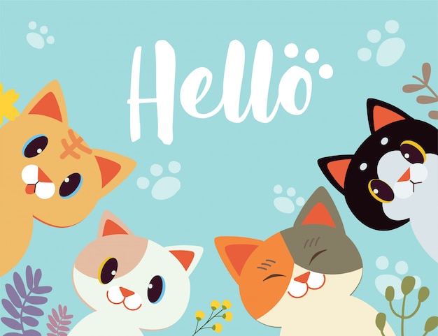 Character cartoon cat say hello with flower background