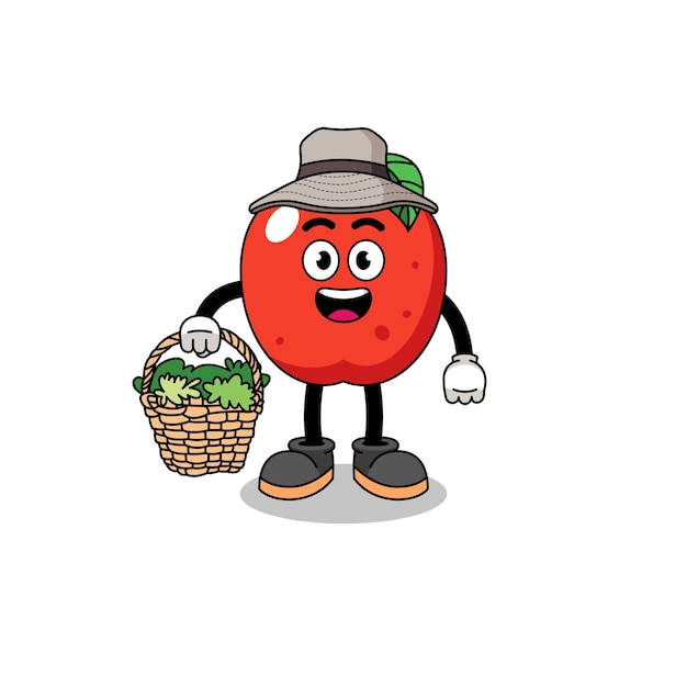 Character Illustration of apple as a herbalist character design