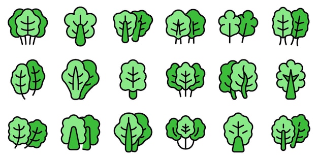 Chard icons set vector flat