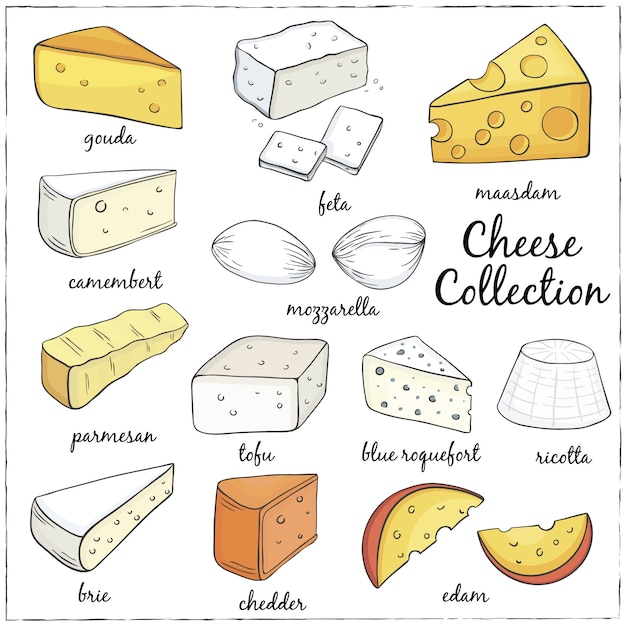 Vector cheese collection illustration