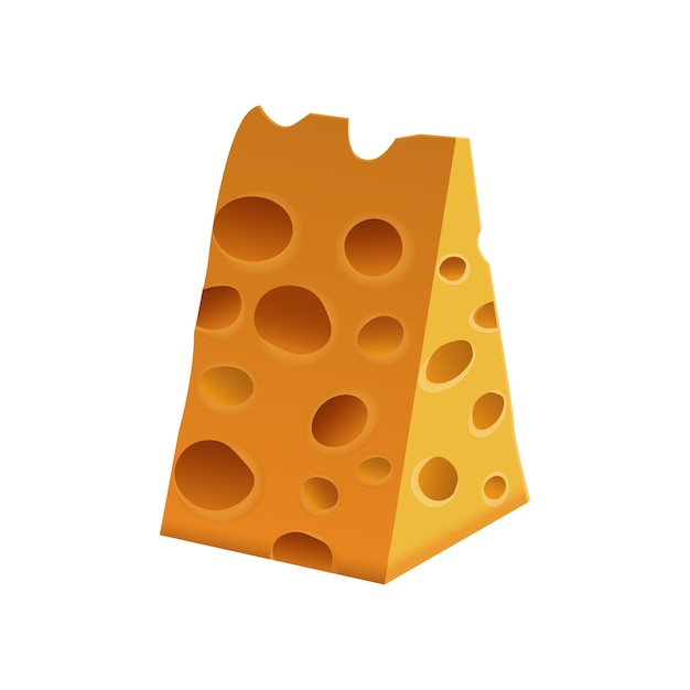 Cheese illustration in vector Dutch cheese illustration Realistic cheese illustration