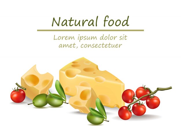 Vector cheese realistic. natural food for menu, cooking books, blogs