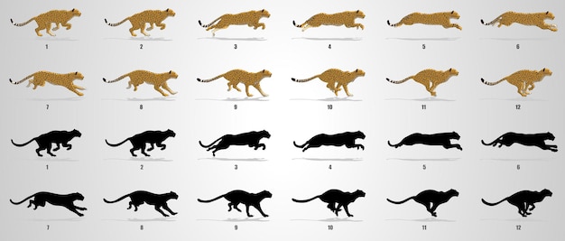 Cheetah run cycle animation sequence