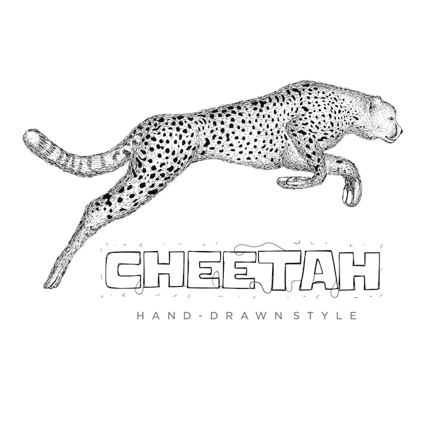 cheetah running fast. hand drawn animal illustration