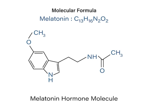 Vector chemical formula of melatonin hormone role in circadian rhythm synchronization molecule skeletal