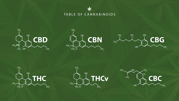 Vector chemical formulas of natural cannabinoids on green background with cannabis leafs