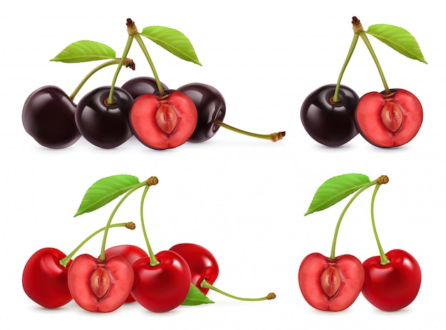 Cherries. Whole and half berries. 3d realistic set