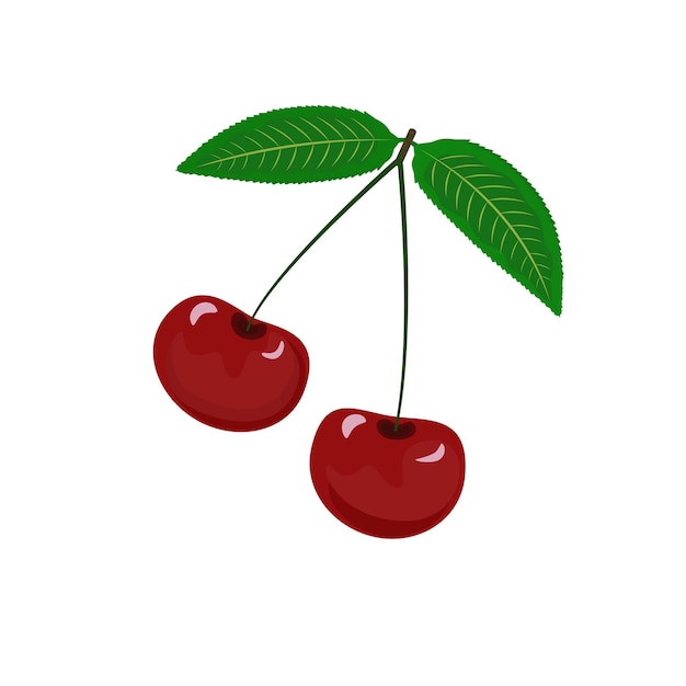 CHERRIES with leaves