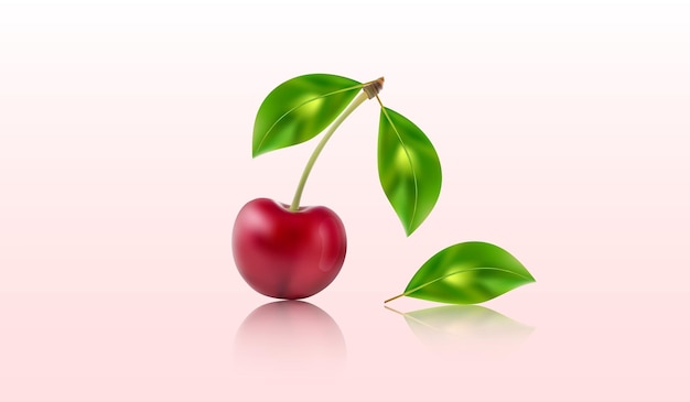 Cherry 3d Vector Illustration