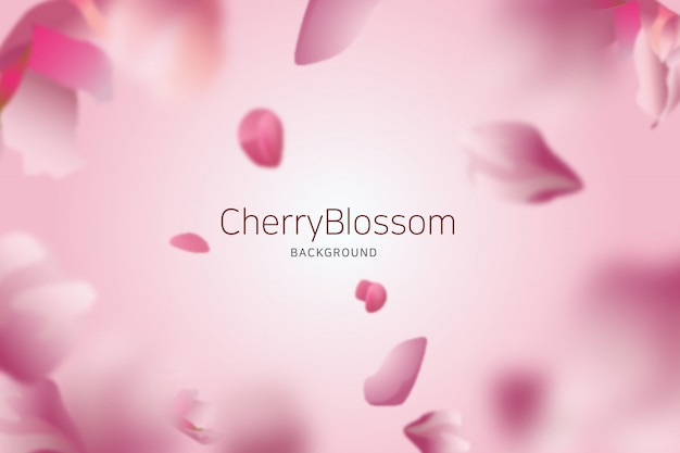 Cherry blossom background