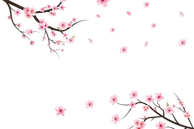 Vector cherry blossom branch with sakura flower. sakura on white background. watercolor cherry blossom vector. pink sakura flower background. watercolor cherry bud. cherry blossom branch with pink flower.