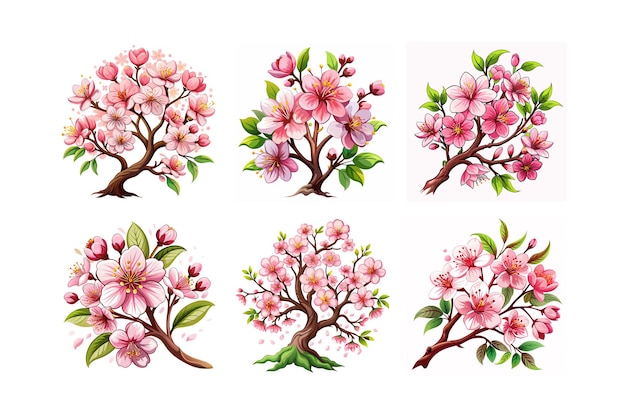 Cherry blossom flower blooming vector art illustration