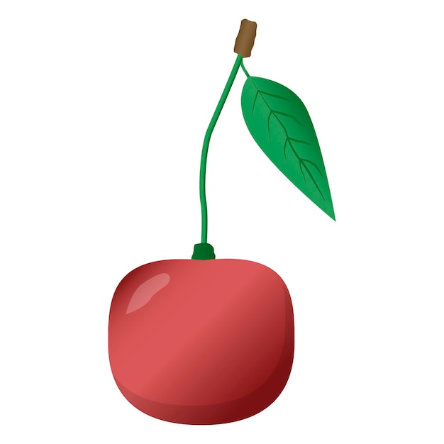 Cherry on a branch Sweet cherry Berry Cherry with a leaf Vector