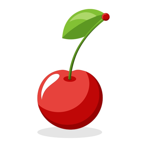 Cherry flat vector illustration on white background