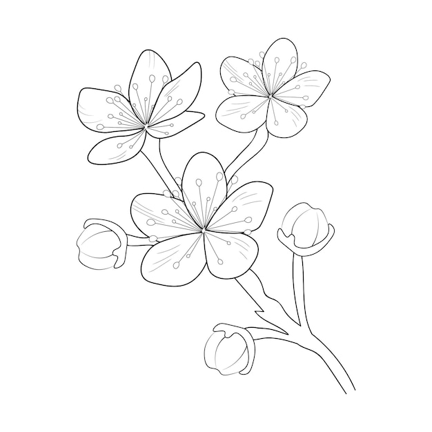 cherry flower coloring page line art design