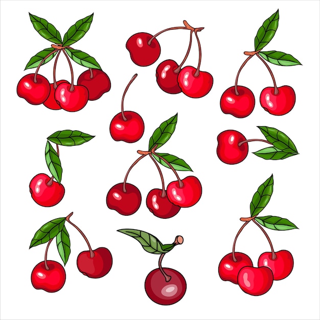 Cherry fruits hand drawn icons set vector illustration isolated on white background