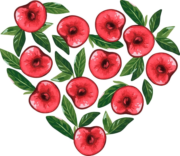 Cherry Heart Watercolor vector illustration