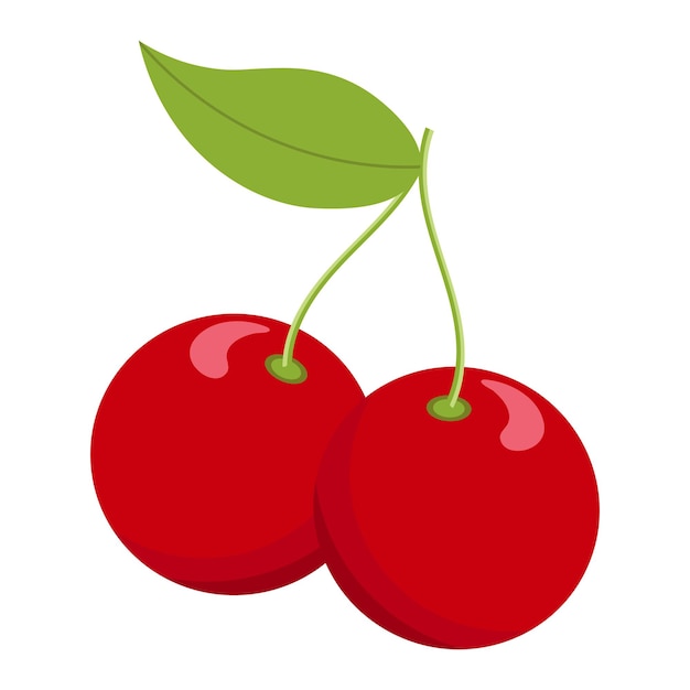 Cherry icon Cherry isolated on white background Vector illustration