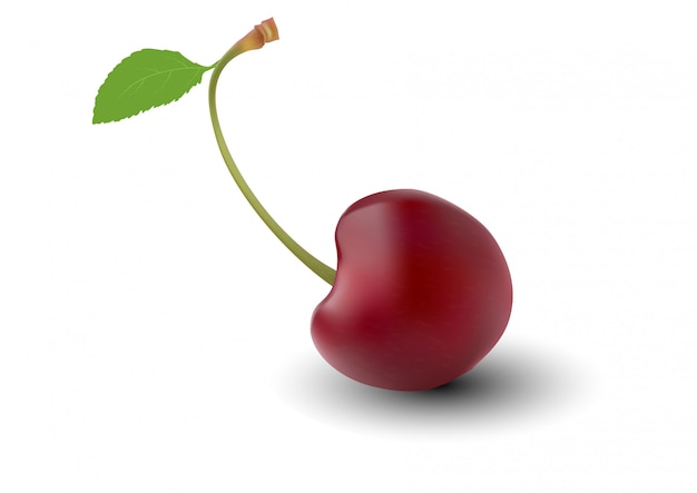 Cherry icon