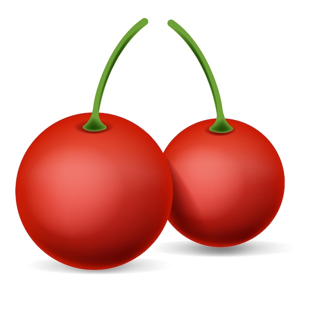 Cherry red fresh new illustration two