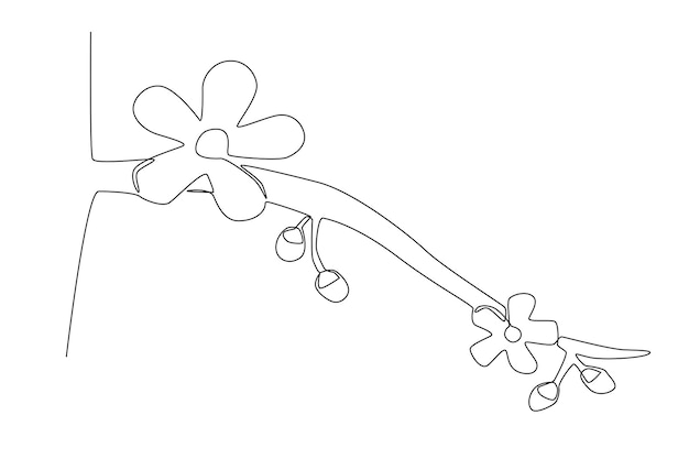 A cherry sakura flower blooming one line art