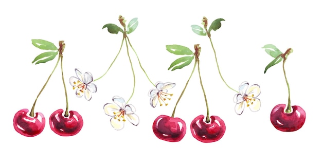 Cherry set Watercolor clipart