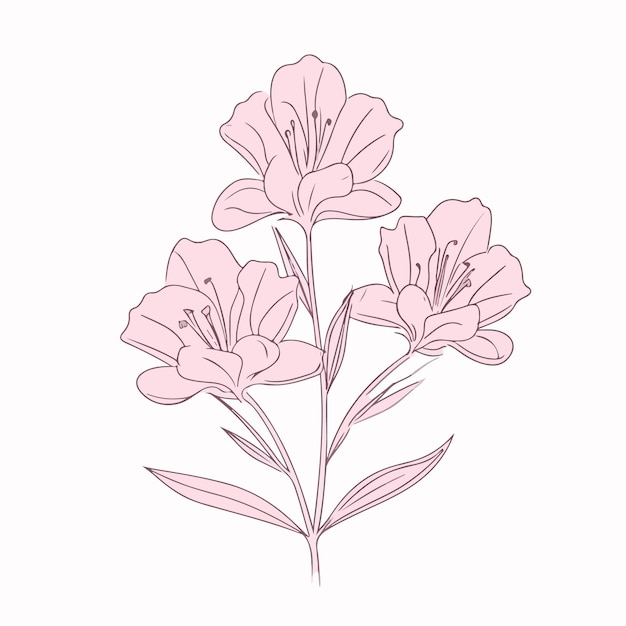 Vector chic and stylish azalea illustrations in outline style perfect for fashionrelated designs