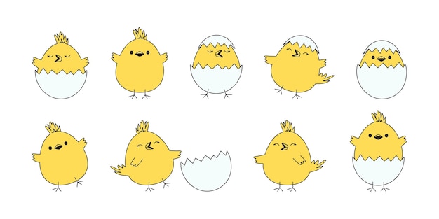 Chick and egg Easter chicken vector icon cartoon baby bird with shell yellow little animal character