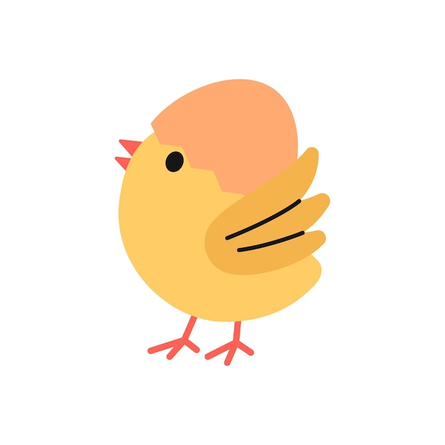 Chick Illustration