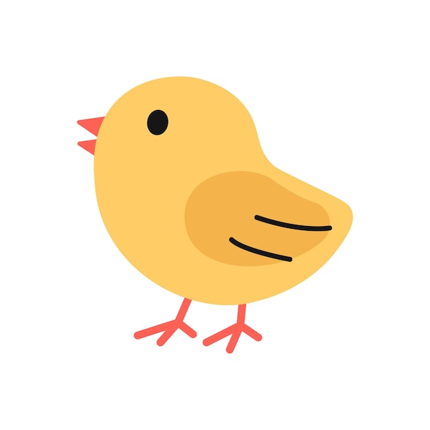 Chick Illustration