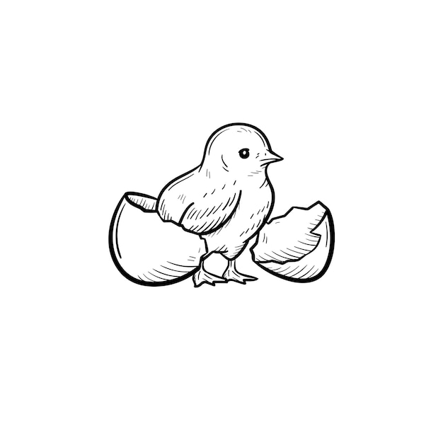 Chick peeking out of egg shell hand drawn vector outline doodle icon. Chick head sketch illustration for print, web, mobile and infographics isolated on white background.