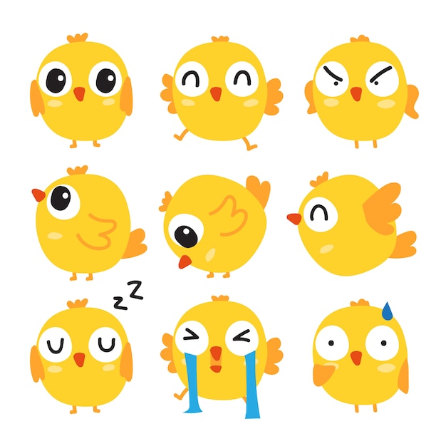 chick vector collection design