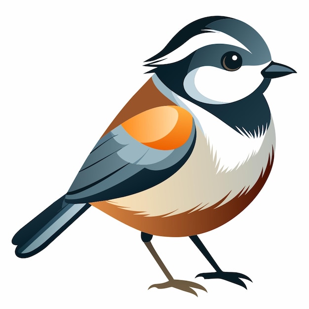 chickadee flat illustration white background vector illustration