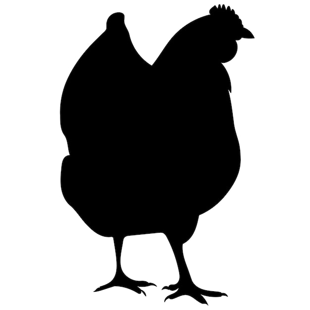 Chicken black silhouette vector, isolated