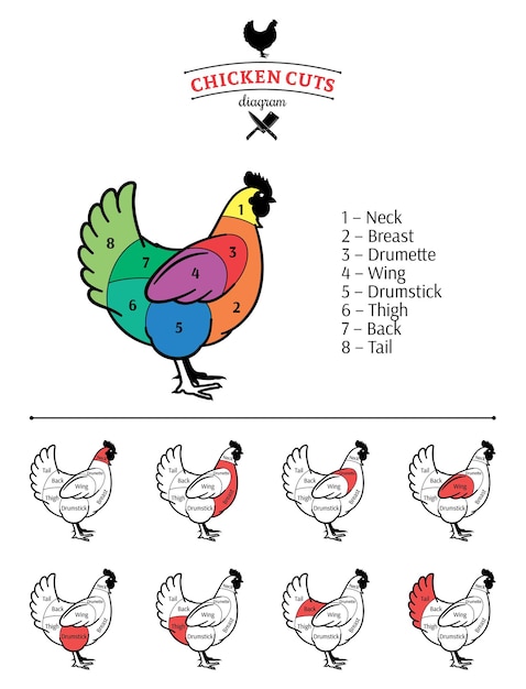 Chicken cuts diagram